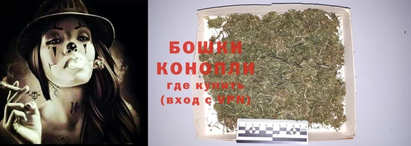 прущие грибы Верея