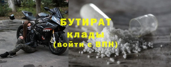прущие грибы Верея