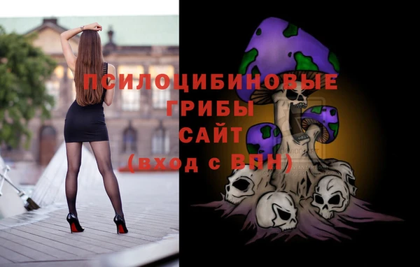 прущие грибы Верея