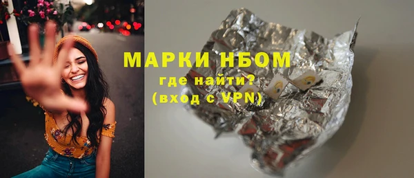 прущие грибы Верея