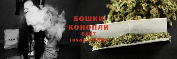 прущие грибы Верея