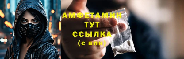прущие грибы Верея