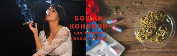 прущие грибы Верея
