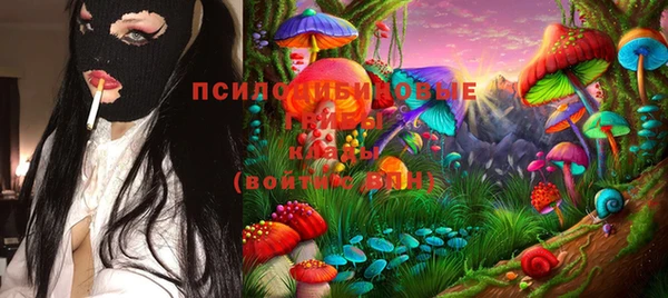 прущие грибы Верея