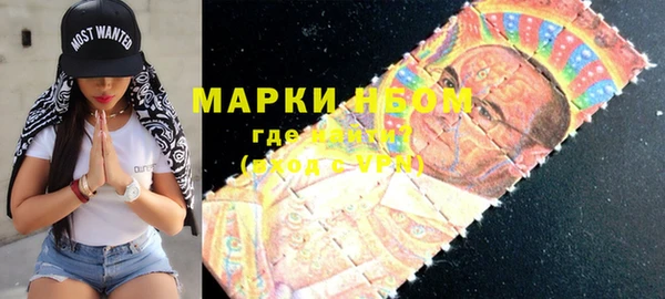 прущие грибы Верея