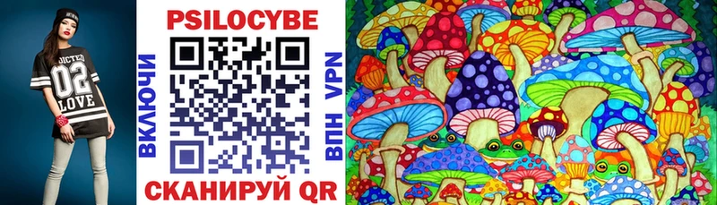 Галлюциногенные грибы Psilocybine cubensis  блэк спрут ONION  Гаджиево  где можно купить наркотик 